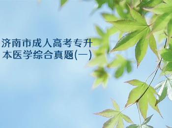 濟南市成人高考專升本