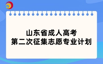 2024年山東省成人高考第二次征集志愿專(zhuān)業(yè)計(jì)劃